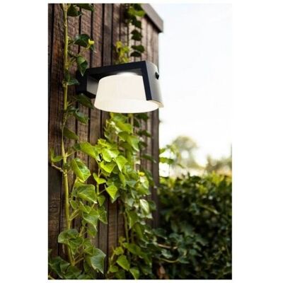 Lampada da parete solare LUTEC MOON con sensore di movimento Lampada da parete solare LUTEC MOON con sensore di movimento