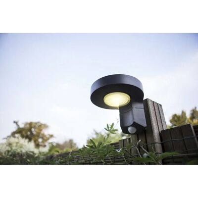 Lutec Diso P9067-PIR Lampada LED per Esterno con Rilevatore di Movimento - Antracite Lutec Diso P9067-PIR Lampada LED per Esterno con Rilevatore di Movimento - Antracite