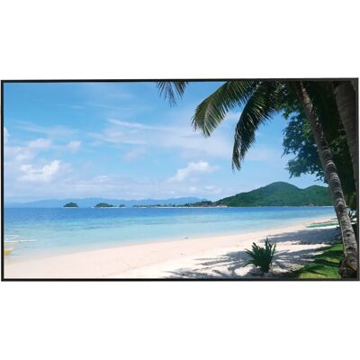 Dahua Technology LM55-S400 Monitor CCTV 55'' 4K UHD Dahua Technology LM55-S400 Monitor CCTV 55'' 4K UHD