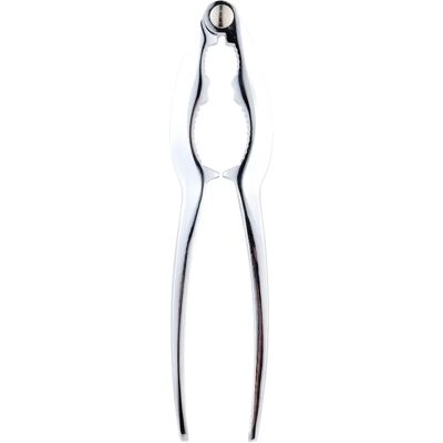 schiaccianoci San Ignacio - 15 x 3,5 cm Acciaio inossidabile Plastica - Collezione Expert schiaccianoci San Ignacio - 15 x 3,5 cm Acciaio inossidabile Plastica - Collezione Expert