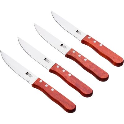 Set di 4 Coltelli Bergner Acciaio Inox Set di 4 Coltelli Bergner Acciaio Inox
