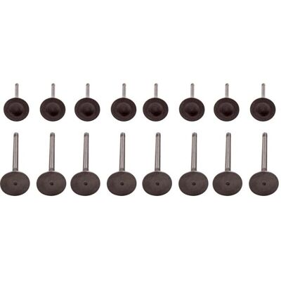 MAXPEEDINGRODS Ventile - 16 Stück für Audi VW Skoda Seat MAXPEEDINGRODS Ventile - 16 Stück für Audi VW Skoda Seat