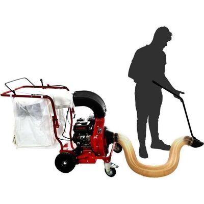 Weibang WBLV506C Aspirapolvere foglie a benzina professionale - 240L, 5.5 HP Weibang WBLV506C Aspirapolvere foglie a benzina professionale - 240L, 5.5 HP