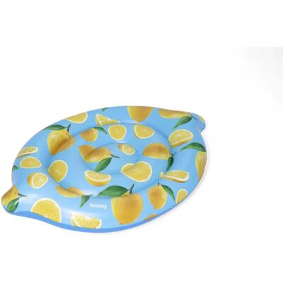 Bestway 43392 Pool float - Pool float Bestway 43392 Pool float - Pool float