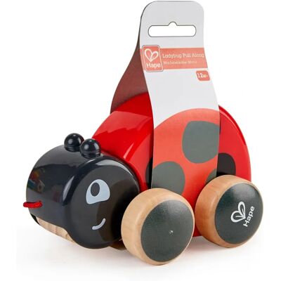 Hape Vtech Baby Microfono - Luce e Suoni - 12M+ Hape Vtech Baby Microfono - Luce e Suoni - 12M+