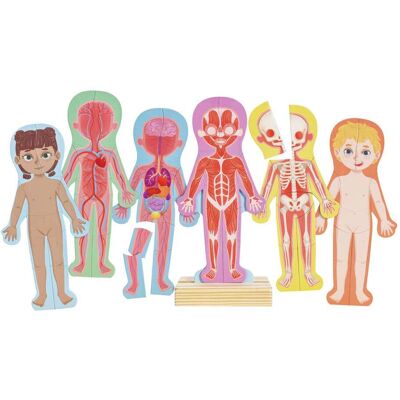 Puzzle Magnetico del Corpo Umano - Giocattolo Educativo Puzzle Magnetico del Corpo Umano - Giocattolo Educativo
