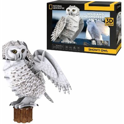 CubicFun Pooluil uit de Arctische regio 3D Puzzel - Bedreigd Dier CubicFun Pooluil uit de Arctische regio 3D Puzzel - Bedreigd Dier