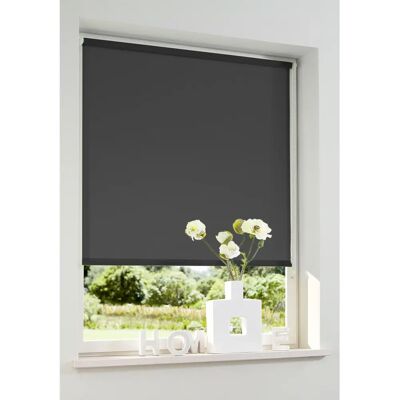 MY HOME Themse-Uni Rollos - Seitenzug, 50x150cm MY HOME Themse-Uni Rollos - Seitenzug, 50x150cm