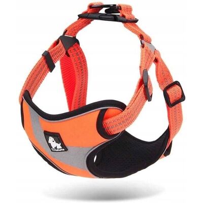 Truelove - Daily Plus - Arancione - L - Imbracatura per cani Truelove - Daily Plus - Arancione - L - Imbracatura per cani