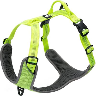 Truelove Lumen Żółty uprząż dla psa - Uprząż Truelove Lumen Żółty uprząż dla psa - Uprząż