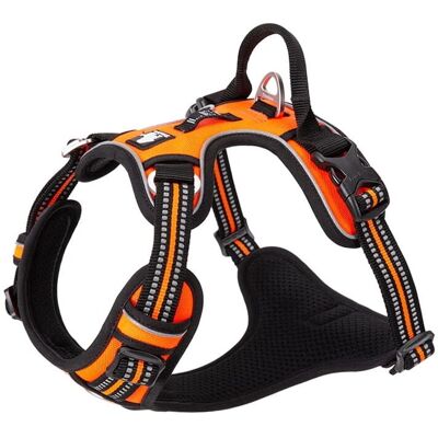 Truelove Front Line Premium - pomarańczowy - S - Harness Truelove Front Line Premium - pomarańczowy - S - Harness