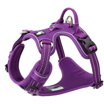 Truelove - Front Line Premium - Violet - M - harnais pour chien - Publicité Truelove - Front Line Premium - Violet - M - harnais pour chien - Publicité