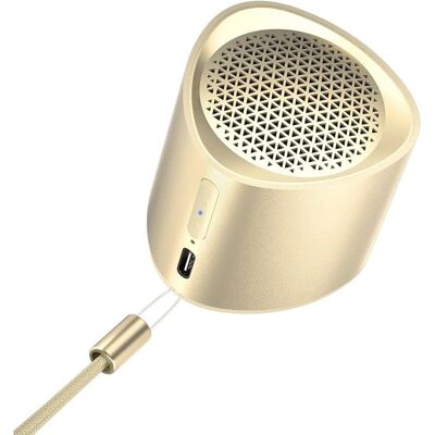 Haut-parleur Bluetooth Tronsmart Nimo Gold - Portable, Étanche, 12h - Publicité Haut-parleur Bluetooth Tronsmart Nimo Gold - Portable, Étanche, 12h - Publicité