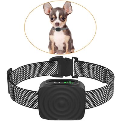 ODIPIE - Collar for small/medium dogs - 5-15 lbs - adjustable - Dog collar ODIPIE - Collar for small/medium dogs - 5-15 lbs - adjustable - Dog collar