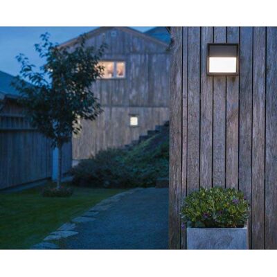 SG Armaturen Frame Square Wall Grafitt - 6W 4000K - Wandleuchte SG Armaturen Frame Square Wall Grafitt - 6W 4000K - Wandleuchte