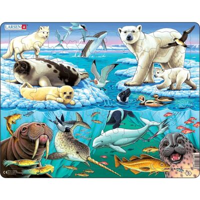 Larsen Maxi LA-FH11 Puzzle - Tiere der Arktis 75 Teile Larsen Maxi LA-FH11 Puzzle - Tiere der Arktis 75 Teile