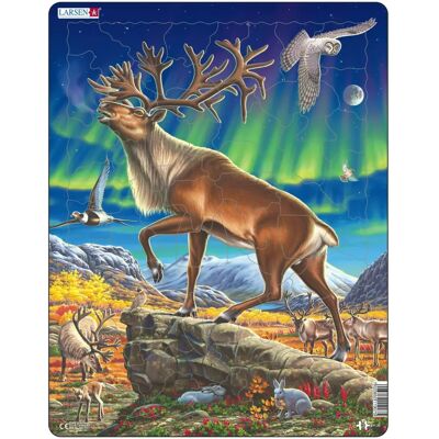 Larsen Arktischer Rentier Puzzle - 60 Teile für Kinder Larsen Arktischer Rentier Puzzle - 60 Teile für Kinder