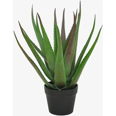 Nordic Furniture Group K 50 cm - Kunstig aloe vera-plante Nordic Furniture Group K 50 cm - Kunstig aloe vera-plante
