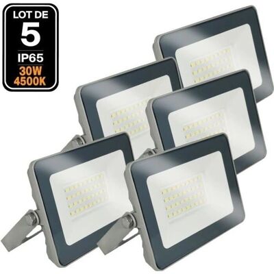 Proyector LED ProLine 30W Blanco Neutro - EUROPALAMP Proyector LED ProLine 30W Blanco Neutro - EUROPALAMP