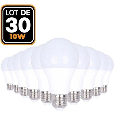 EUROPALAMP 30 LED Glühbirnen E27 10W Kaltweiß EUROPALAMP 30 LED Glühbirnen E27 10W Kaltweiß