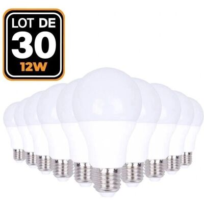 EUROPALAMP 30 LED Glühbirnen E27 12W Kaltweiß EUROPALAMP 30 LED Glühbirnen E27 12W Kaltweiß