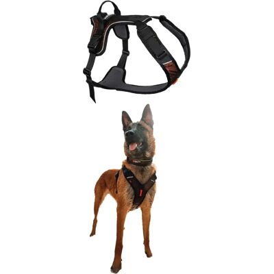 Non-stop Dogwear Non-Stop Rock Selen - Aktiv, Justerbar, Reflekterende Non-stop Dogwear Non-Stop Rock Selen - Aktiv, Justerbar, Reflekterende