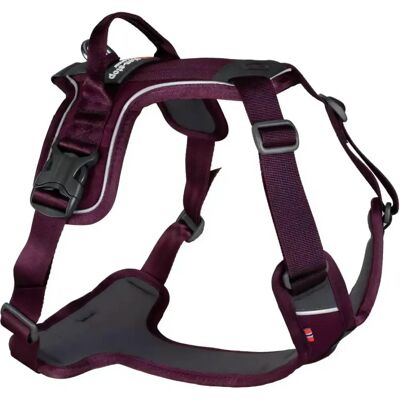 Ham Ramble de NonStop dogwear - Violet - Potrivit pentru toate mărimile Ham Ramble de NonStop dogwear - Violet - Potrivit pentru toate mărimile