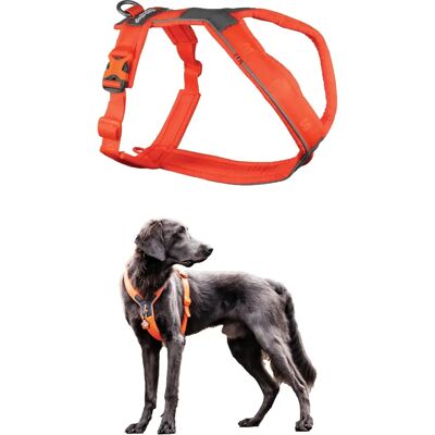 Non-Stop dogwear Line seler 5.0 - Seler - Oransje Non-Stop dogwear Line seler 5.0 - Seler - Oransje