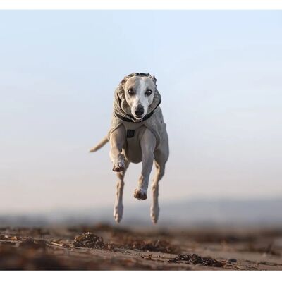 Non-Stop Dogwear Ullhundjakke - Sand - Modell 40 - Justerbar Passform - Hundejakke Non-Stop Dogwear Ullhundjakke - Sand - Modell 40 - Justerbar Passform - Hundejakke