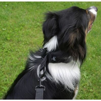Non-Stop Dogwear Model 46 - Ham de câine negru reglabil Non-Stop Dogwear Model 46 - Ham de câine negru reglabil