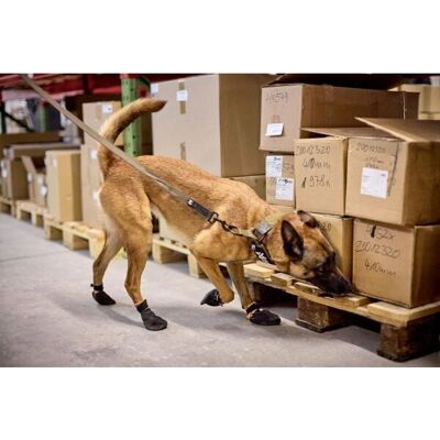 Non-stop Dogwear Olivigtigt Halsband - 40 Hundhalsband Non-stop Dogwear Olivigtigt Halsband - 40 Hundhalsband