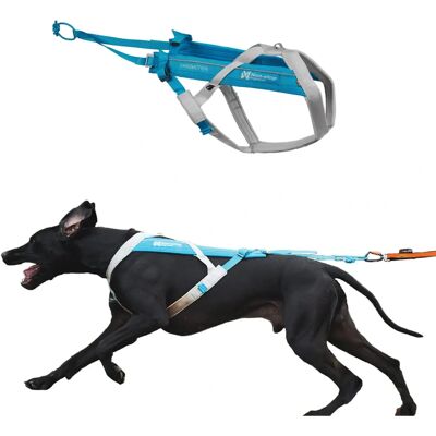 Non-Stop Dogwear Freemotion Selen - Blå/Grå - Y-form, Lettvekts - Sel Non-Stop Dogwear Freemotion Selen - Blå/Grå - Y-form, Lettvekts - Sel