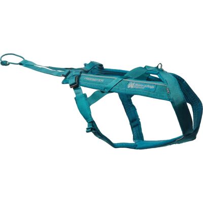 Non-Stop Dogwear Freemotion Halsbånd - Hundesele Non-Stop Dogwear Freemotion Halsbånd - Hundesele