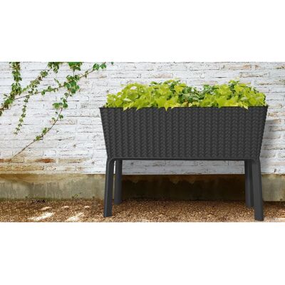 KETER Splendor 120L Jardinière - Résistante aux Intempéries, Design Élevé - Publicité KETER Splendor 120L Jardinière - Résistante aux Intempéries, Design Élevé - Publicité