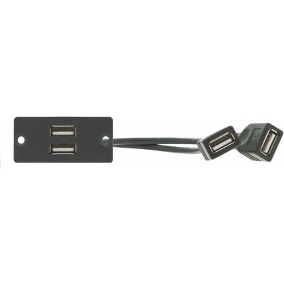 Kramer WU-2AA Wandplatte - USB Durchgangsverbinder Kramer WU-2AA Wandplatte - USB Durchgangsverbinder
