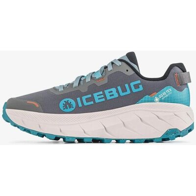 Icebug Arcus 2 RB9X GORE-TEX Scarpe da corsa - Trail & Recupero Icebug Arcus 2 RB9X GORE-TEX Scarpe da corsa - Trail & Recupero