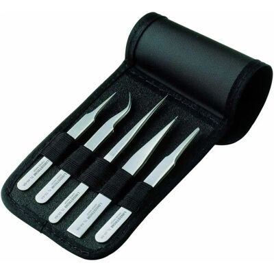 Lindstrom Set di Pinzette in Acciaio Inox - 5 Pezzi Lindstrom Set di Pinzette in Acciaio Inox - 5 Pezzi