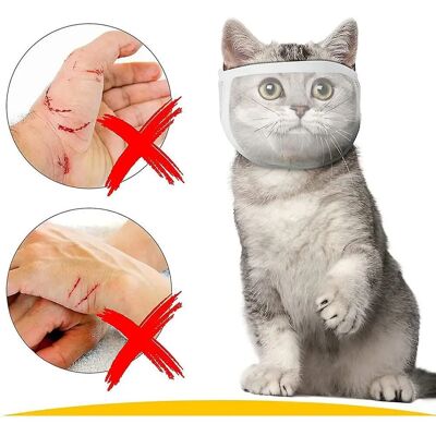 INF Muserolle pour chat - Coton, Velcro, Blanc - Muserolle pour chat - Publicité INF Muserolle pour chat - Coton, Velcro, Blanc - Muserolle pour chat - Publicité