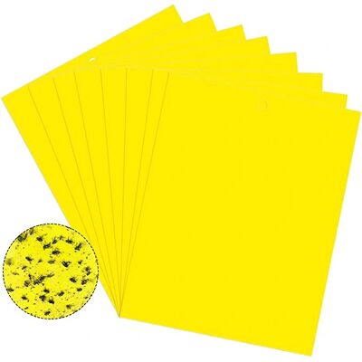 INF Piège Collant Attrape-Mouches 20 pièces - Trappe à Insectes INF Piège Collant Attrape-Mouches 20 pièces - Trappe à Insectes