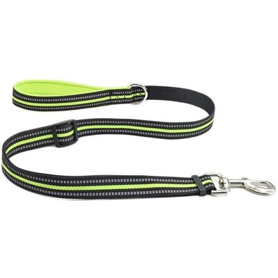 Laisse pour Chien Rétroreflective INF Marque INF - Petit, Moyen, M Laisse pour Chien Rétroreflective INF Marque INF - Petit, Moyen, M