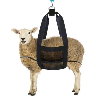 HARNAIS PETIT BOVIN INF - Support jusqu'à 100kg HARNAIS PETIT BOVIN INF - Support jusqu'à 100kg