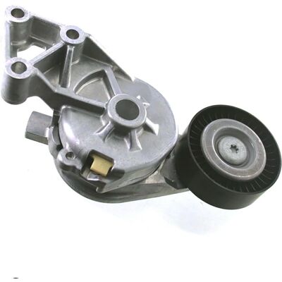 SKF VKM 31019 Tensioner Pulley - Tensioner Pulley for VW, Audi, Ford SKF VKM 31019 Tensioner Pulley - Tensioner Pulley for VW, Audi, Ford