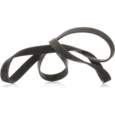 SKF VKMV 6PK1590 V-ribbed belt - V-ribbed belt SKF VKMV 6PK1590 V-ribbed belt - V-ribbed belt