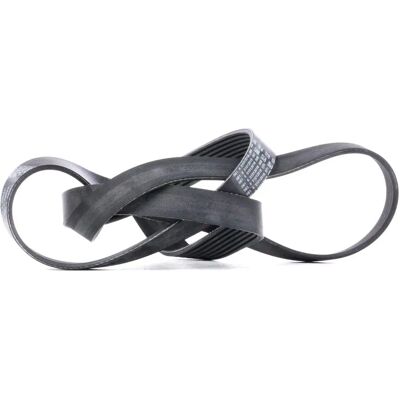 Curea Poly-V SKF VKMV 7PK1855 - Accesorii auto Curea Poly-V SKF VKMV 7PK1855 - Accesorii auto