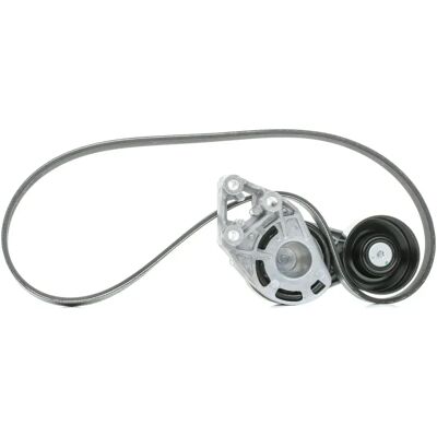 SKF Modèle VKMA 31036 Jeu de Courroies Trapézoïdales SKF Modèle VKMA 31036 Jeu de Courroies Trapézoïdales