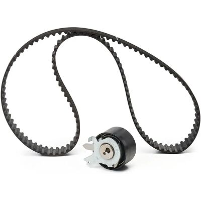 SKF VKMA 06134 Kit di distribuzione - Kit di distribuzione SKF VKMA 06134 Kit di distribuzione - Kit di distribuzione