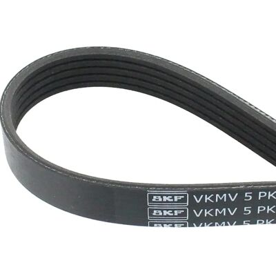 SKF VKMV 5PK1334 - V-ribbed belt SKF VKMV 5PK1334 - V-ribbed belt