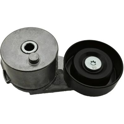 SKF VKM 35219 - Timingrem SKF VKM 35219 - Timingrem