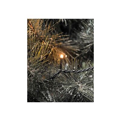 Konstsmide 6563-870 App-gestuurde Buiten-LED-Lichtketting - Lichtketting Konstsmide 6563-870 App-gestuurde Buiten-LED-Lichtketting - Lichtketting