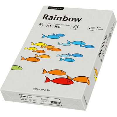 Rainbow Modell 88042808 Grauer A3 Druckerpapier - 500 Blatt Rainbow Modell 88042808 Grauer A3 Druckerpapier - 500 Blatt